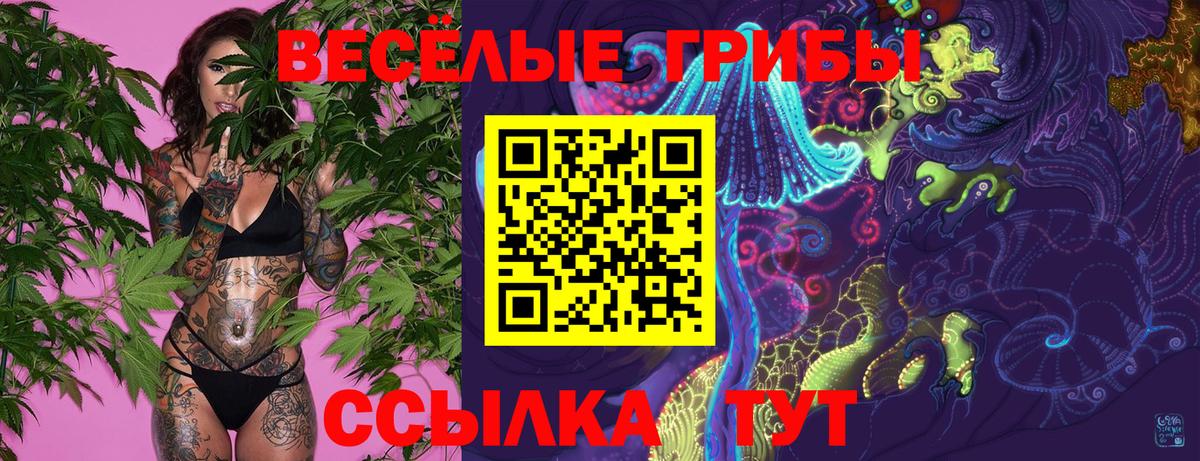 Галлюциногенные грибы Magic Shrooms Хабаровск