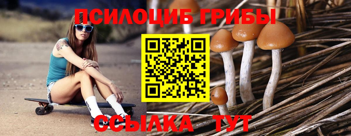 Хабаровск  Псилоцибиновые грибы мицелий  Вход с VPN 